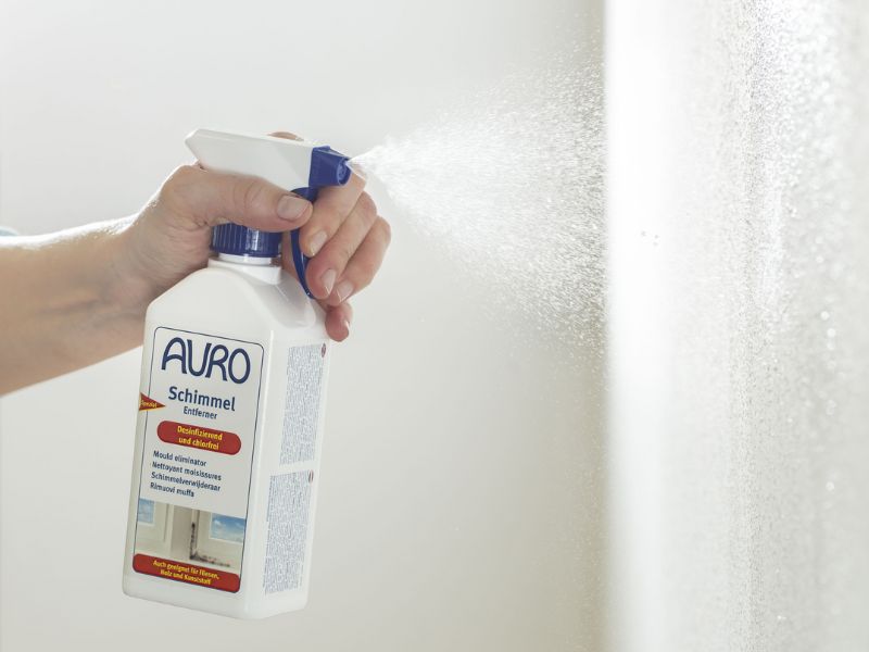 Schimmel-Entferner von AURO ohne Chlor in der praktischen Sprühflasche